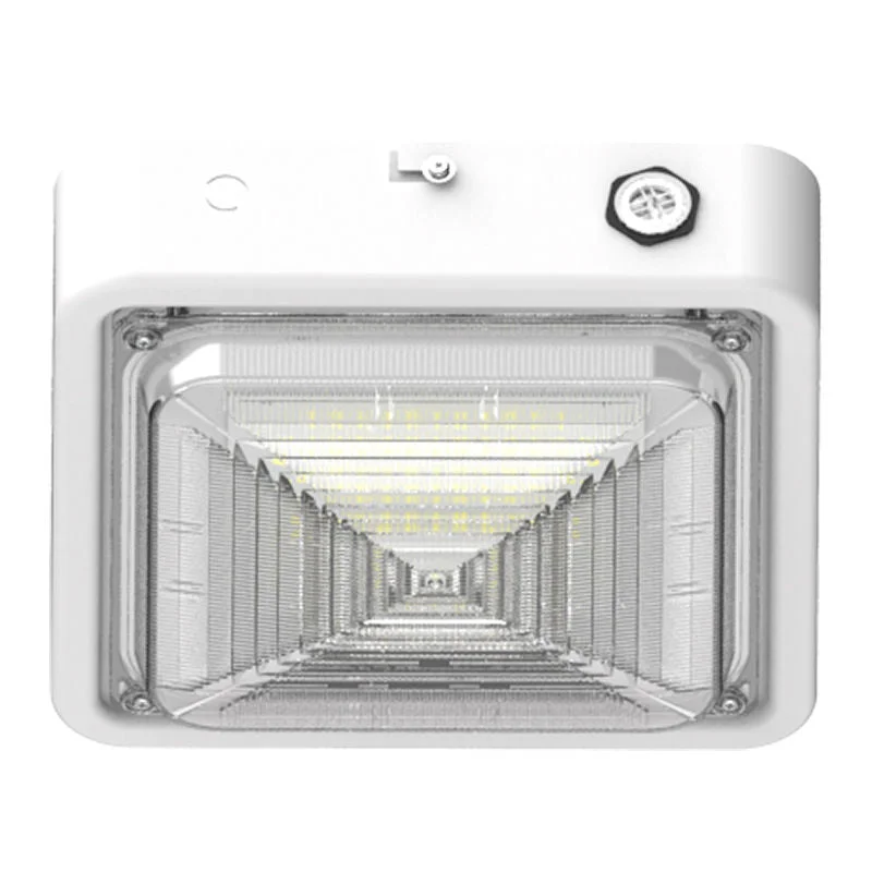 String Lights for Seasonal Decorations (Spring, Fall, etc.)Westgate CXES-10-30W-MCTP-WH Square New Concept Garage and Ceiling Light - White