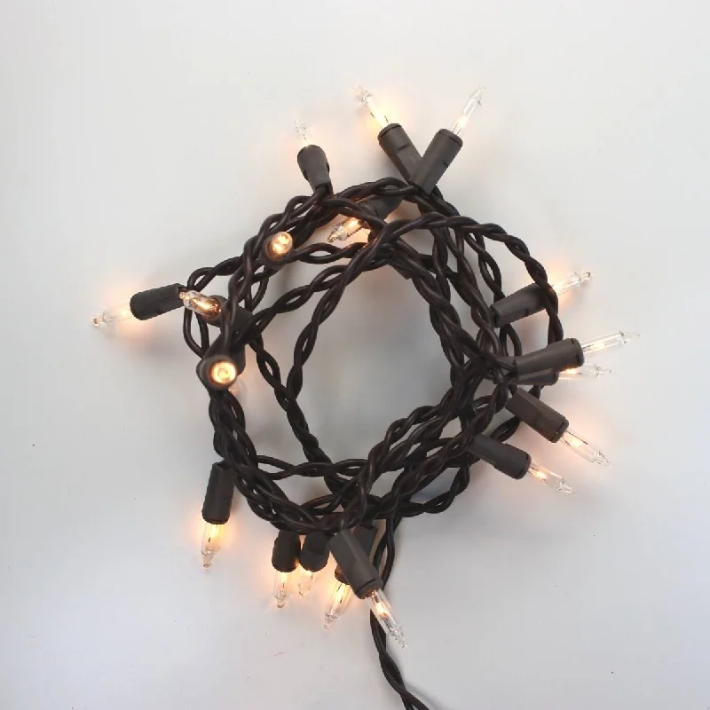 Waterproof String Lights for Patio Decor20-bulb Clear Glass Craft Lights, Brown Wire Waterproof String Lights for Patio Decor20-bulb Clear Glass Craft Lights, Brown Wire