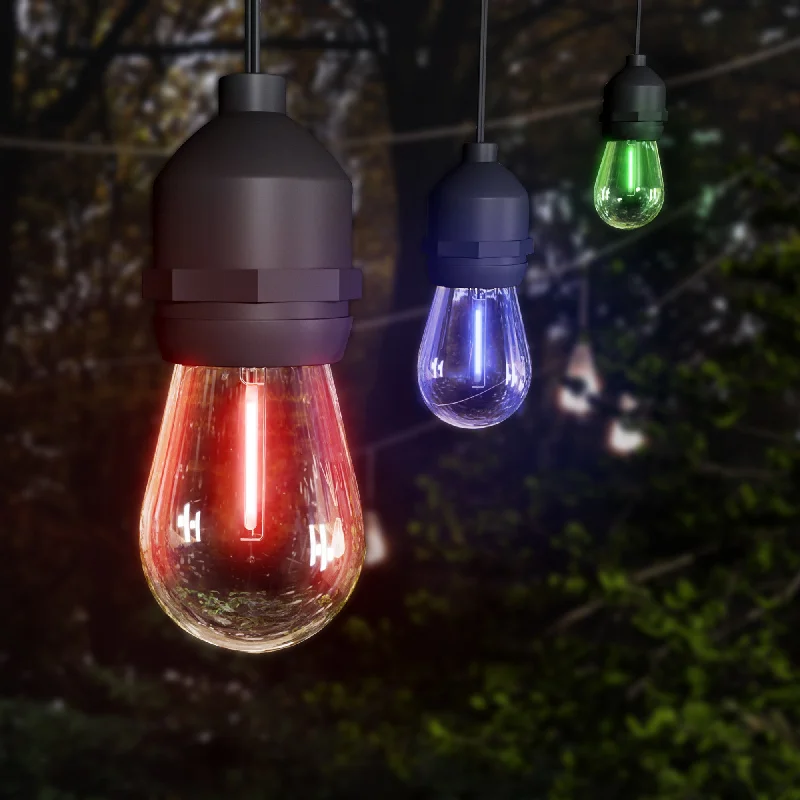 String Lights for Seasonal Decorations (Spring, Fall, etc.)24 ft. Color Changing Filament LED String Light with Remote String Lights for Seasonal Decorations (Spring, Fall, etc.)24 ft. Color Changing Filament LED String Light with Remote