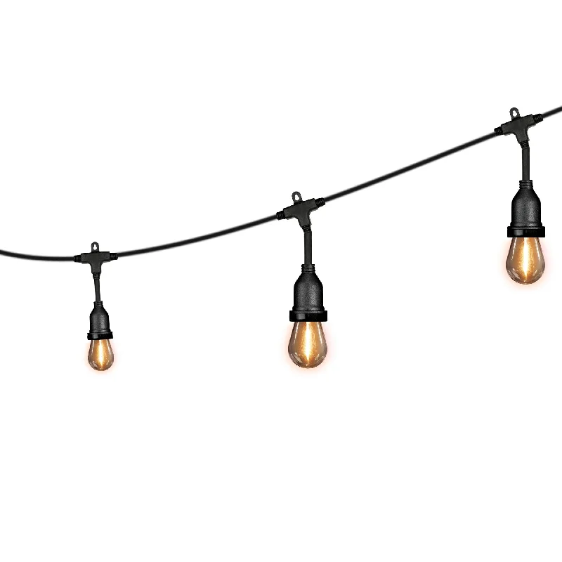 String Lights for DIY Home Decor Projects48 ft. Soft White (2200K) Filament LED String Light