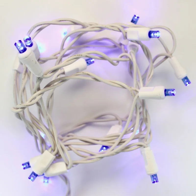 String Lights for Camping Trips20-light Blue LED Craft Lights, White Wire