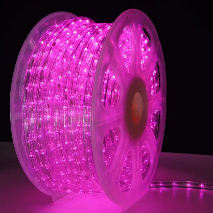 String Lights for Outdoor Dining Areas3/8" Pink LED Rope Lights