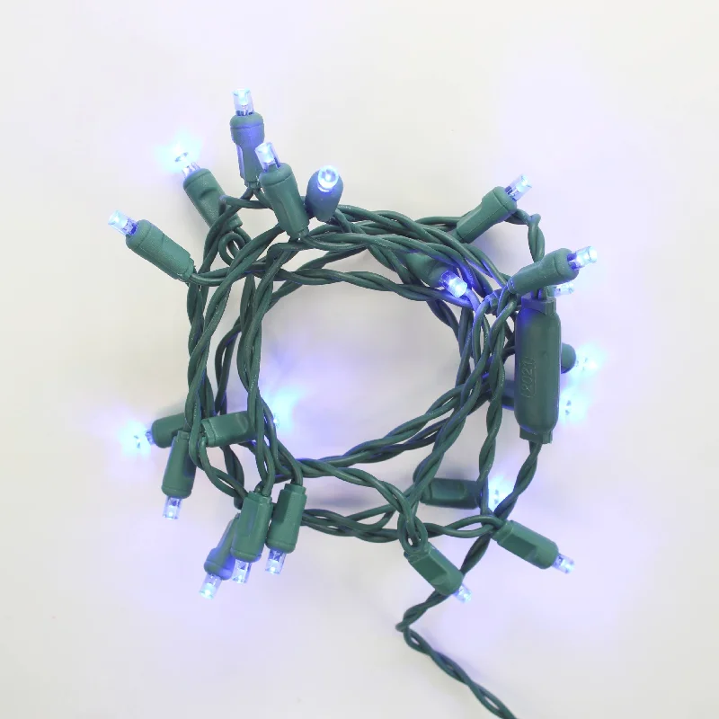 String Lights for Wedding Receptions20-light Blue LED Craft Lights, Green Wire
