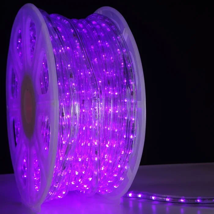 String Lights for Nursery Room Decor1/2" Purple LED Rope Lights