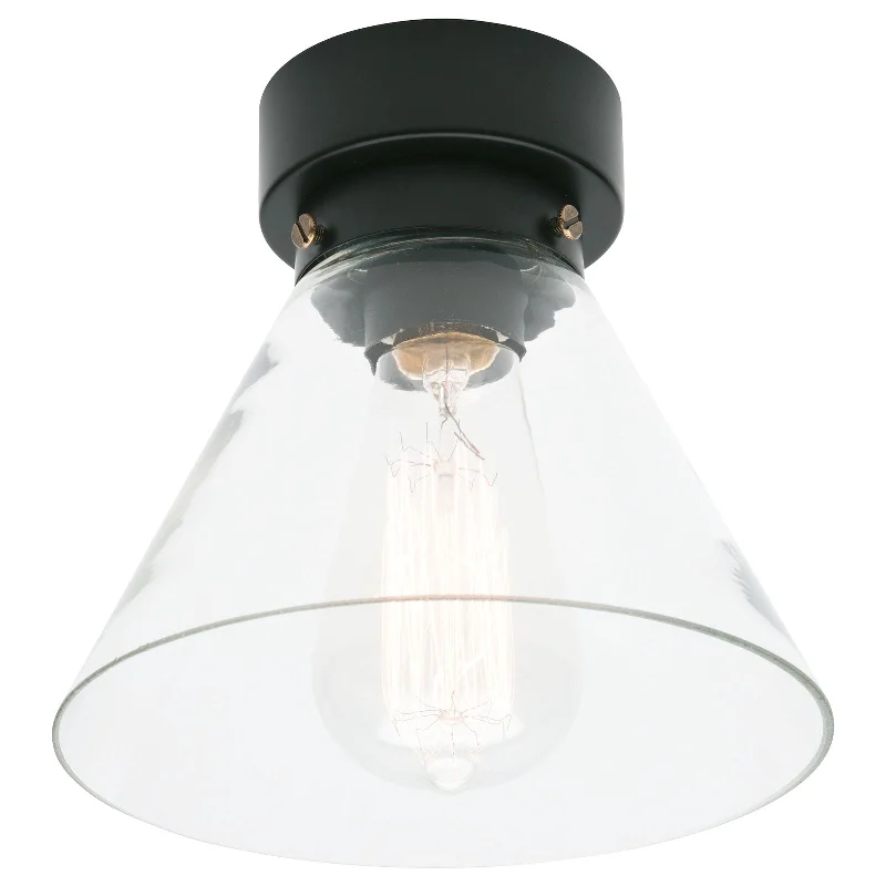 Industrial Lighting for Printing Press FacilitiesGwen Clear Glass DIY Light
