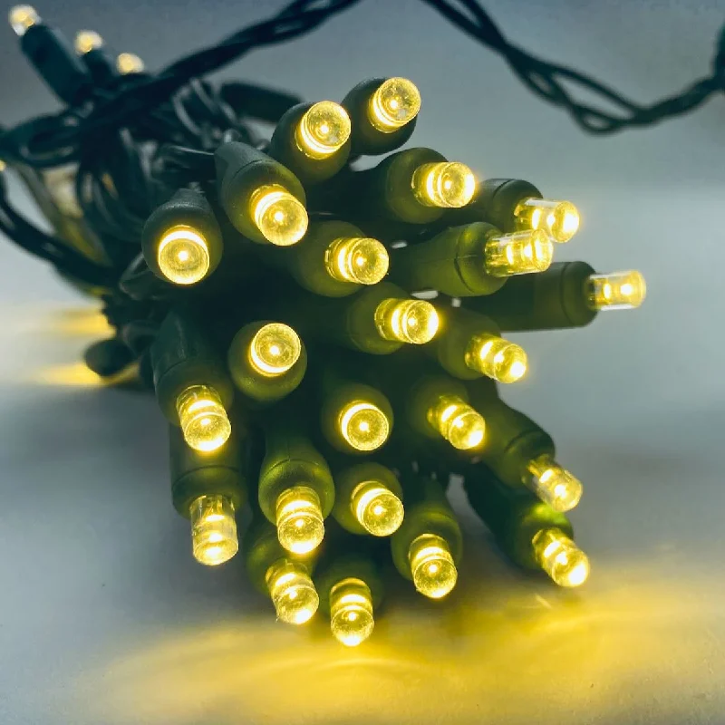 String Lights for Camping Trips50-light 5mm Warm White Twinkling LED Christmas Lights, 6" Spacing Green Wire String Lights for Camping Trips50-light 5mm Warm White Twinkling LED Christmas Lights, 6" Spacing Green Wire