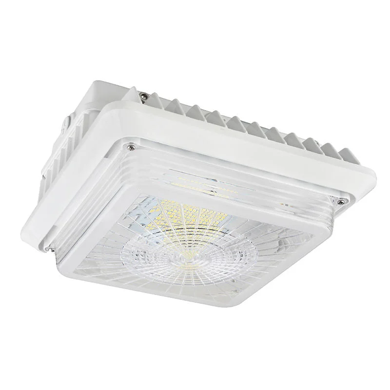 String Lights for DIY Home Decor ProjectsWestgate CGL-100W-50K LED Garage/Canopy Light String Lights for DIY Home Decor ProjectsWestgate CGL-100W-50K LED Garage/Canopy Light