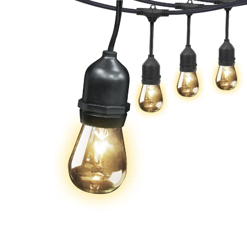 String Lights with Edison Bulbs for Rustic Ambiance30 ft. Incandescent String Lights String Lights with Edison Bulbs for Rustic Ambiance30 ft. Incandescent String Lights