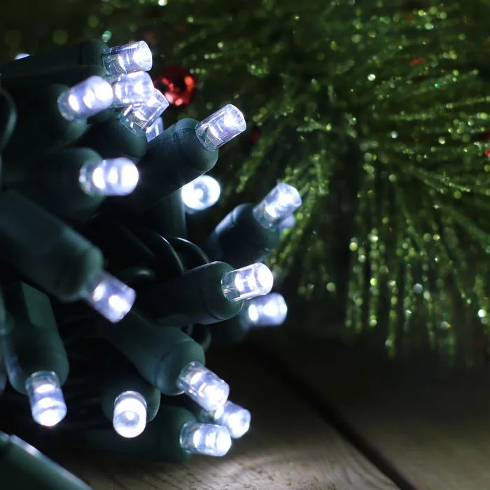 Battery - Operated String Lights for Indoor Use50-light 5mm Pure White LED Twinkle Lights Green Wire 6 inch Spacing Battery - Operated String Lights for Indoor Use50-light 5mm Pure White LED Twinkle Lights Green Wire 6 inch Spacing