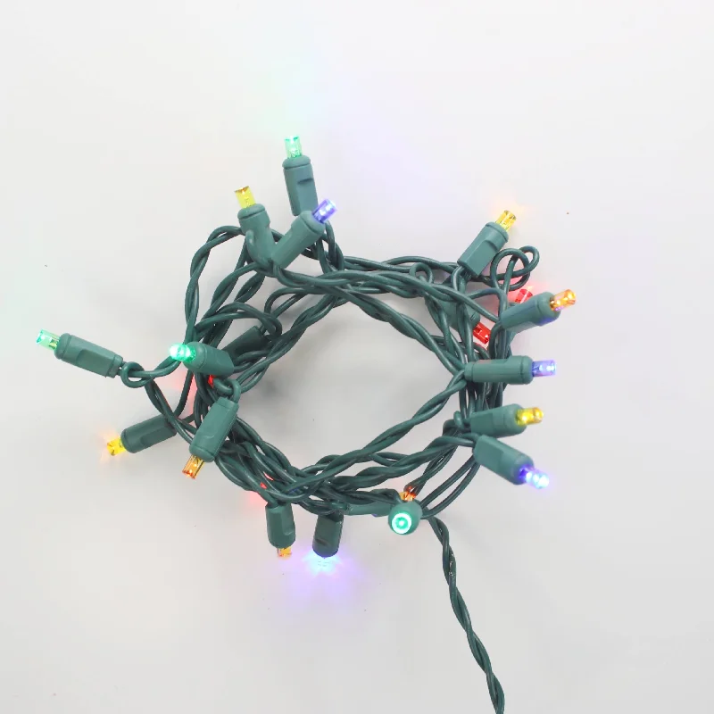 String Lights with Clear Bulbs for a Classic Look20-light Multicolor LED Craft Lights, Green Wire