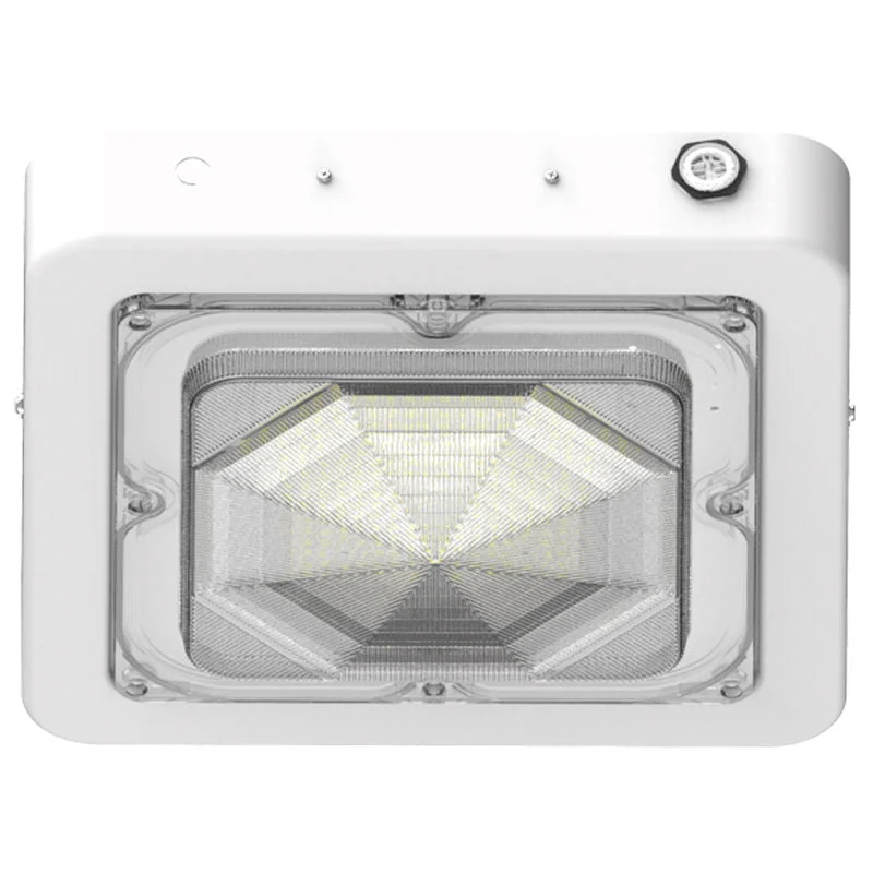 String Lights for Balcony DecorationWestgate CXES-30-60W-MCTP-WH Square New Concept Garage and Ceiling Light - White String Lights for Balcony DecorationWestgate CXES-30-60W-MCTP-WH Square New Concept Garage and Ceiling Light - White