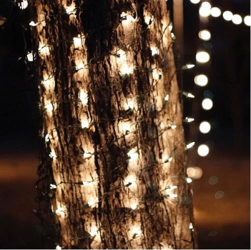 String Lights for Camping Trips150-bulb 8' Clear (White) Tree Trunk Net Lights, Brown Wire String Lights for Camping Trips150-bulb 8' Clear (White) Tree Trunk Net Lights, Brown Wire