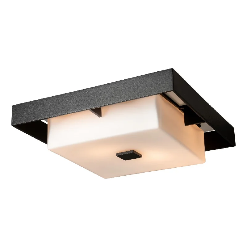 Shock - Resistant Industrial Lighting for Vibrating Machinery AreasShadow Box Two Light Outdoor Flush Mount Shock - Resistant Industrial Lighting for Vibrating Machinery AreasShadow Box Two Light Outdoor Flush Mount
