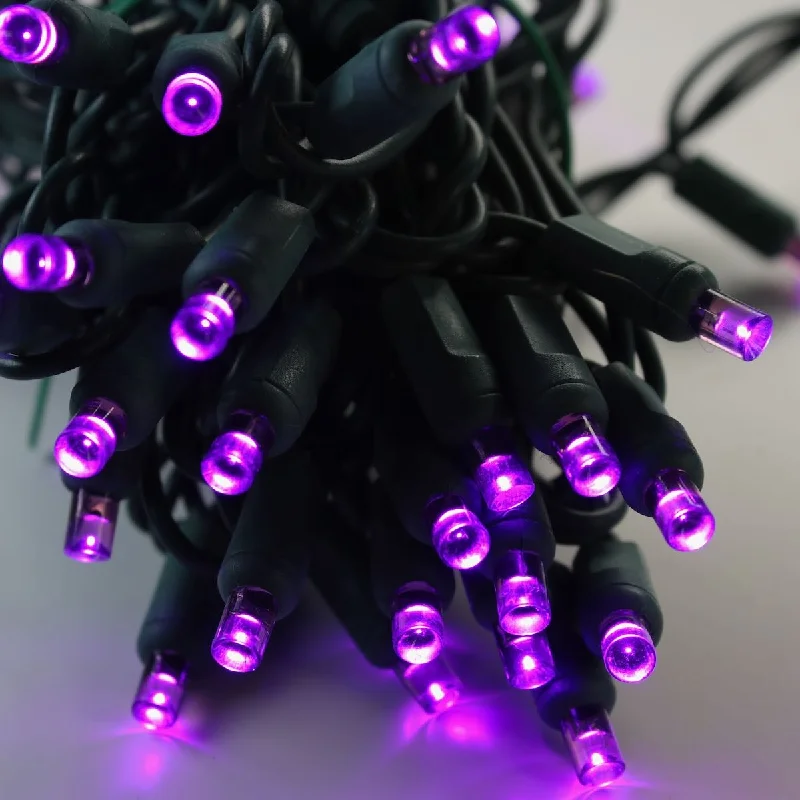 Solar - Powered String Lights for Energy - Saving Backyards50-light 5mm Purple LED Christmas Lights, 6" Spacing Green Wire Solar - Powered String Lights for Energy - Saving Backyards50-light 5mm Purple LED Christmas Lights, 6" Spacing Green Wire