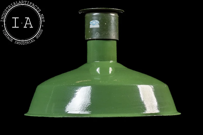 Color - Tunable Industrial Lighting for Special ApplicationsVintage Westinghouse Industrial Enamel Light in Green