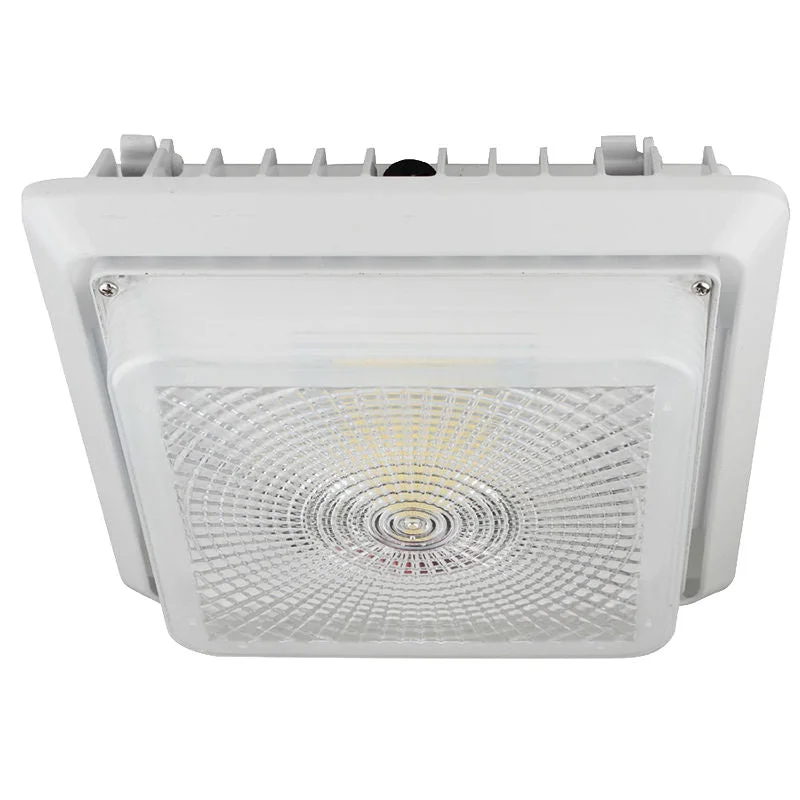 Battery - Operated String Lights for Indoor UseWestgate CGL-40W-40K LED Garage/Canopy Light Battery - Operated String Lights for Indoor UseWestgate CGL-40W-40K LED Garage/Canopy Light