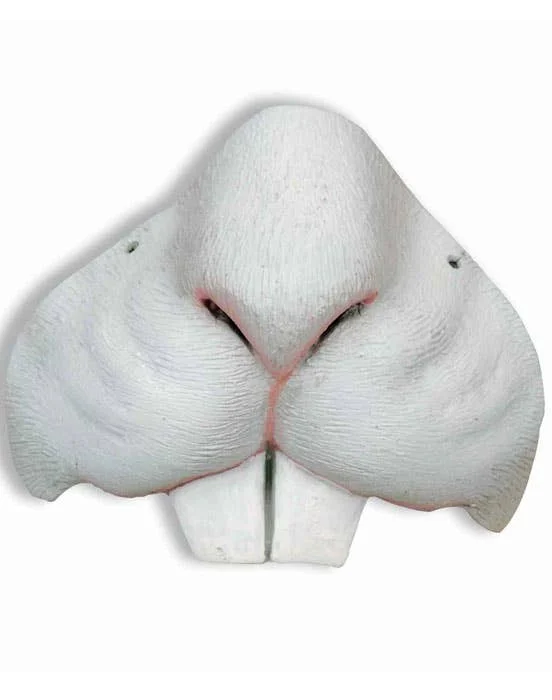 Easter Bunny Costume Nose