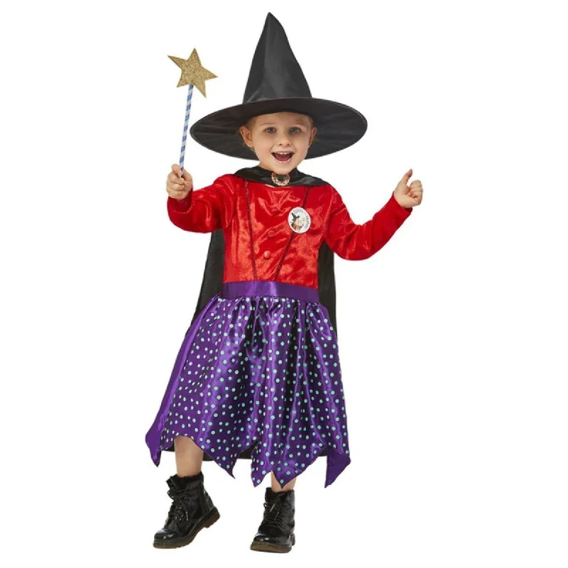 Julia Donaldson Room On The Broom Deluxe Girls Costume