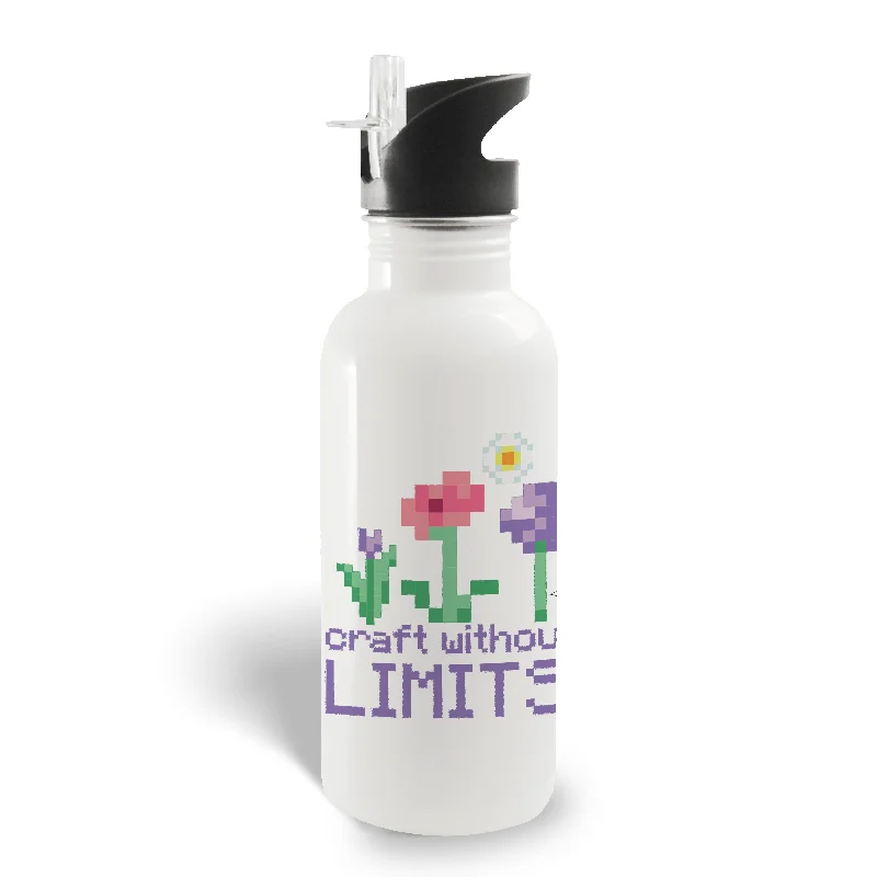 Minecraft Craft Without Limits 20 oz Screw Top Water Bottle with Straw