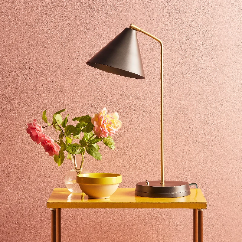 gothic style table lamps with dark finishes for a mysterious lookDrax Desk light in antiqued brass with a black hood